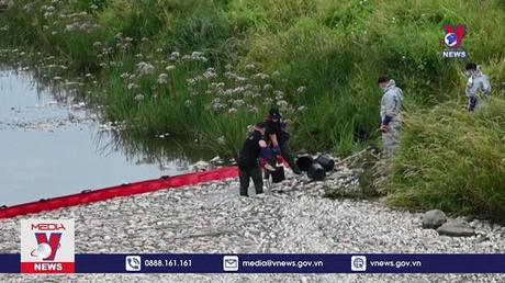 Chưa xác định nguyên nhân cá chết trên sông Oder