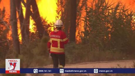 Châu Âu ghi nhận kỷ lục về số vụ cháy rừng