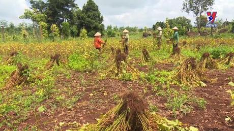 Bản tin tiếng Anh ngày 14/8/2022