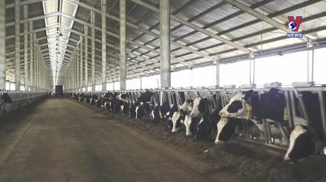 Học Bác mỗi ngày 14/8/2022: Bác Hồ với Thanh Hóa