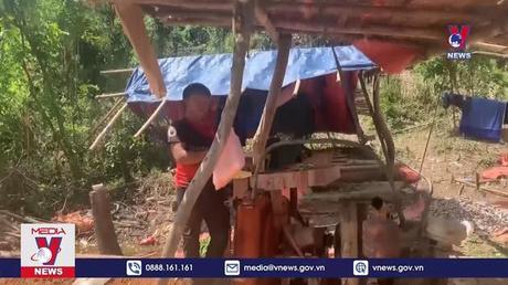 Bản tin Thời sự 6h ngày 15/8/2022