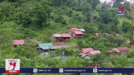 Bản tin Thời sự 11h ngày 15/8/2022