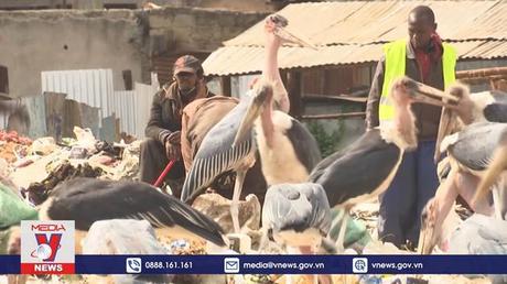 Lạm phát tác động tới người nghèo Kenya