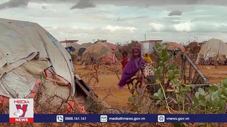 LHQ bổ nhiệm người đứng đầu cơ quan ứng phó khí hậu