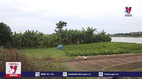  Bảo đảm an toàn cho người dân vùng đê bối 