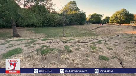 Sân bóng ở Anh chuyển màu vì nắng nóng kỷ lục