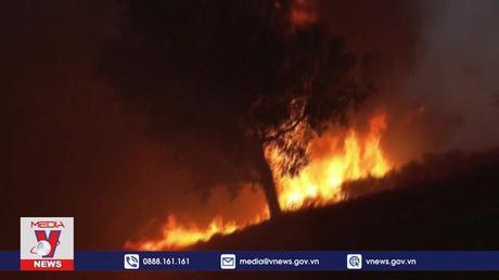 Khói cháy rừng ở Bồ Đào Nha bao trùm Tây Ban Nha