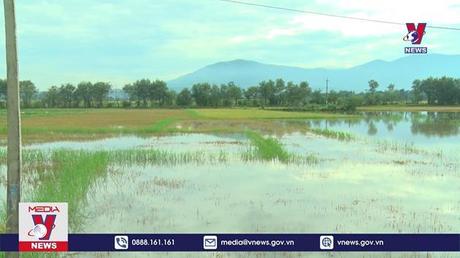 Bản tin thời sự 21h ngày 17/8/2022