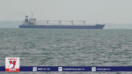 Tàu chở ngũ cốc đầu tiên của Ukraine cập cảng Syria