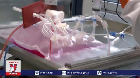 WHO nghiên cứu các đột biến gen của bệnh đậu mùa khỉ