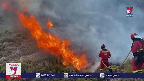 Cháy rừng tiếp tục lan rộng tại Tây Ban Nha