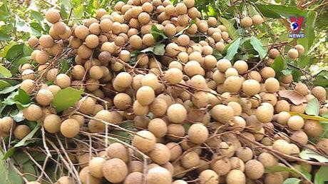 Nhật trình kinh tế ngày 20/8/2022