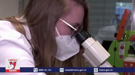 Đan Mạch ghi nhận ca đậu mùa khỉ đầu tiên ở phụ nữ