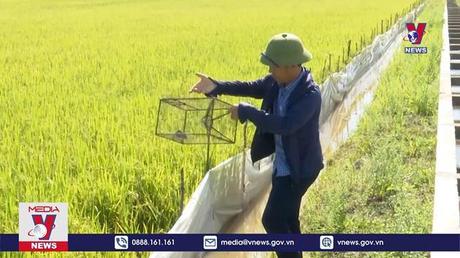 Bản tin Thời sự 20h ngày 20/8/2022