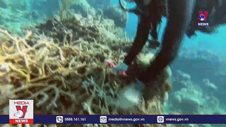 “Ác mộng” với các di sản thế giới