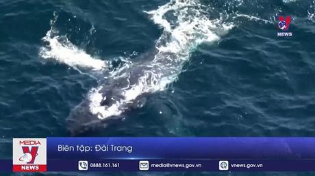 Bản tin thời sự 21h ngày 21/8/2022