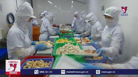 Doanh nghiệp tìm giải pháp khi chi phí đầu vào chưa giảm