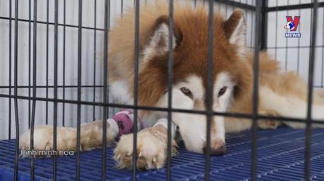 Đời sống toàn cầu ngày 21/8/2022