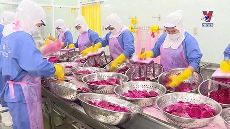 Bản tin tiếng Trung ngày 21/8/2022