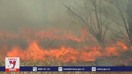 Gần 100.000 ha rừng bị thiêu rụi tại Argentina