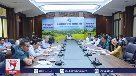 Một triệu hecta lúa chất lượng cao