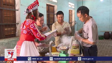 Tìm hướng đi bền vững cho cây táo mèo ở Tỏa Tình