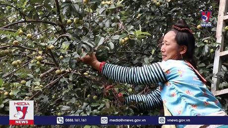 Bản tin thời sự 8h ngày 22/8/2022