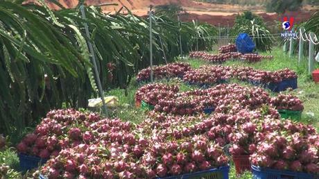 Nhật trình kinh tế ngày 22/8/2022