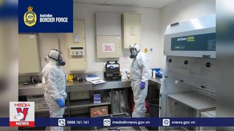 Australia thu giữ số lượng lớn chất gây nghiện fentanyl