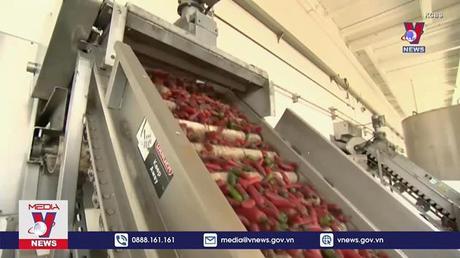 Những kệ hàng siêu thị trống trơn