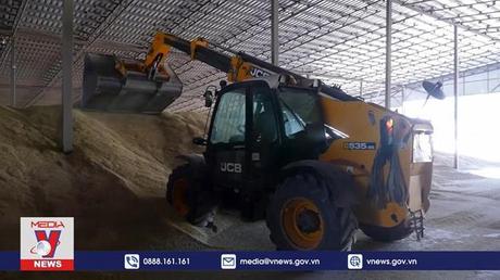 Hơn 700.000 tấn lương thực rời Ukraine sau 1 tháng