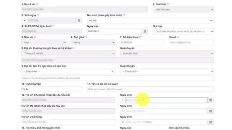 Hướng dẫn cấp hộ chiếu phổ thông điện tử