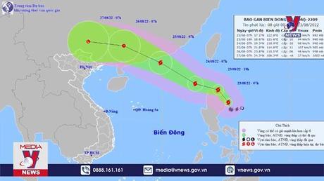 Bản tin thời sự 20h ngày 23/8/2022