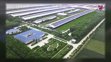 Vinamilk nhận giải thưởng phát triển bền vững 