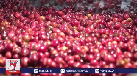 Cà phê Việt được yêu thích tại thị trường Malaysia