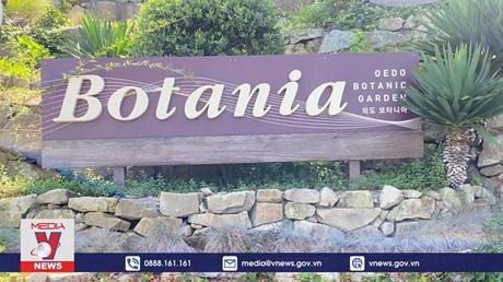 Vẻ đẹp cuốn hút của vườn thực vật Oedo-Botania ở Hàn Quốc