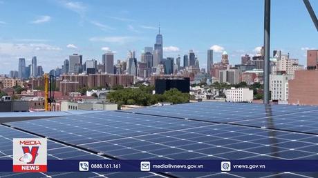 Tòa nhà gỗ dẫn đầu xu hướng sống xanh ở New York