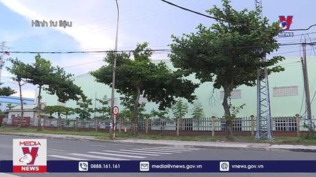 Bản tin Thời sự 8h ngày 24/8/2022