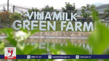 Ngành sữa toàn cầu hướng tới mục tiêu phát triển bền vững