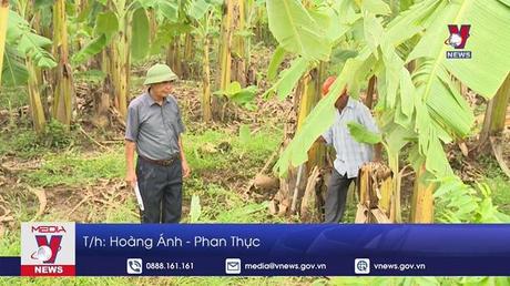 Ưu tiên xóa nghèo cho hộ gia đình chính sách người có công