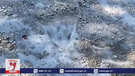 Phát hiện dấu vết khủng long hơn 100 triệu năm tuổi tại Mỹ