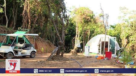 Giao khoán trồng rừng nhưng lại tự ý phá rừng