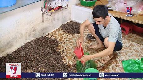 Bản tin Thời sự 20H ngày 24/8/2022