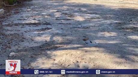 Phát hiện dấu vết khủng long kỷ Phấn Trắng