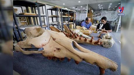 Khoảnh khắc & Sự kiện ngày 25/8/2022