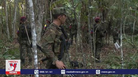 Colombia ngừng không kích các nhóm vũ trang