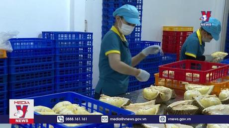 Bình Phước chuẩn bị 1.500 ha sầu riêng để xuất khẩu 