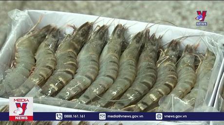 Xuất khẩu tôm hướng tới thị trường Nhật Bản