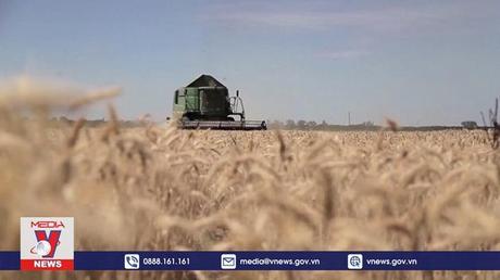 Ukraine xuất khẩu ngũ cốc theo tuyến đường biển mới