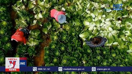 APEC tập trung vào nỗ lực đảm bảo an ninh lương thực